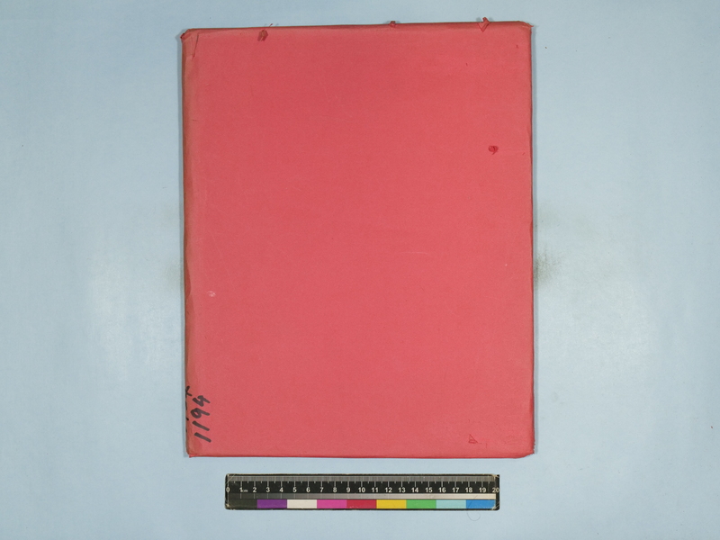 Loading viewer...