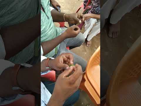 Measuring Practice with Olai